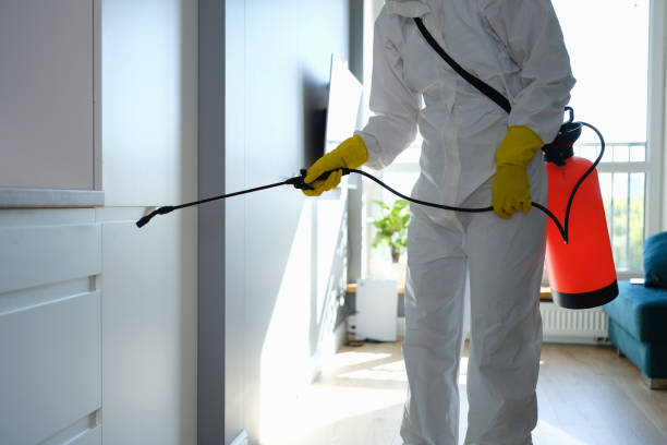 Best Mold Cleaning Services  in Highland Falls, NY