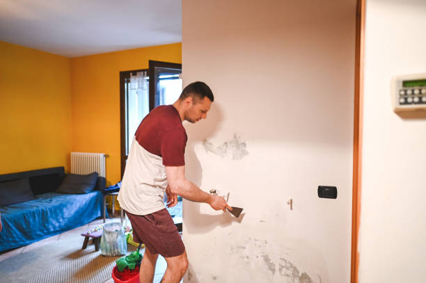 Best Fast Mold Removal  in Highland Falls, NY